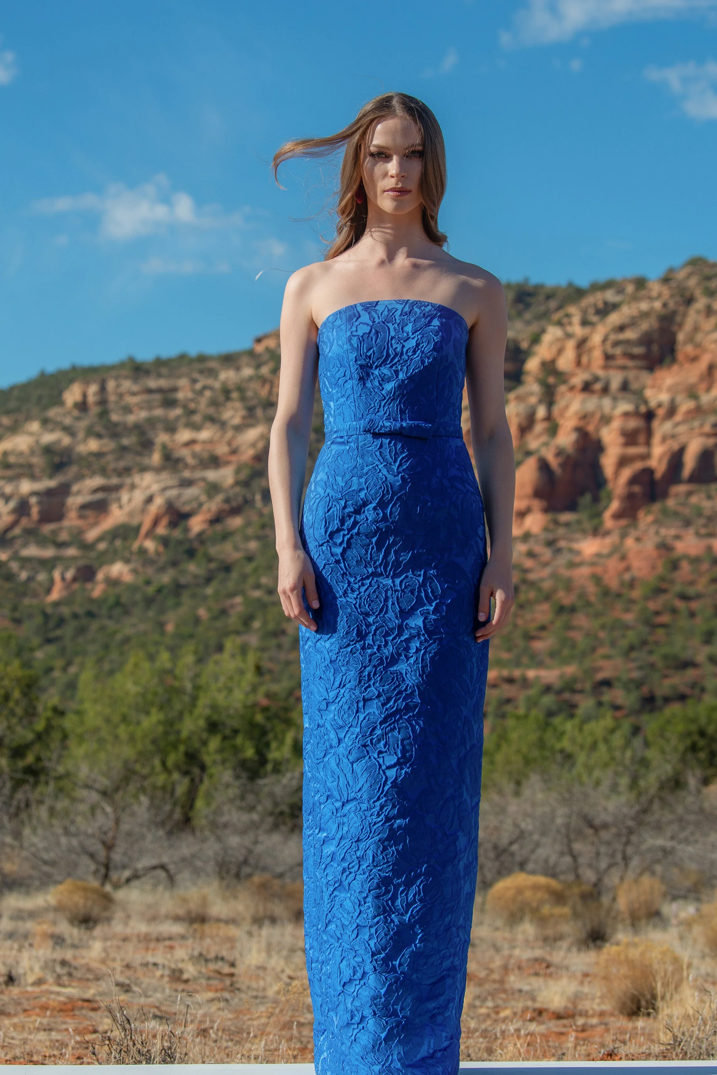 SOPHIA GOWN - MOONBEAM - FINAL SALE - Image 3